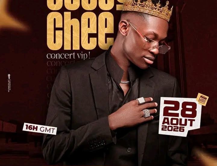 Concert de Seydou Chee